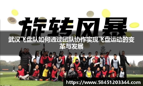 武汉飞盘队如何通过团队协作实现飞盘运动的变革与发展